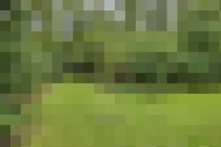 Stormbos 14 Zorgvlied thumbnail 4