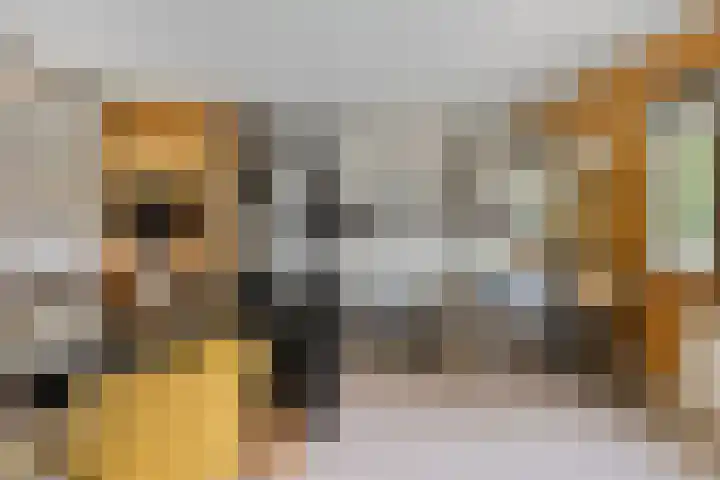 Stormbos 14 Zorgvlied thumbnail 7