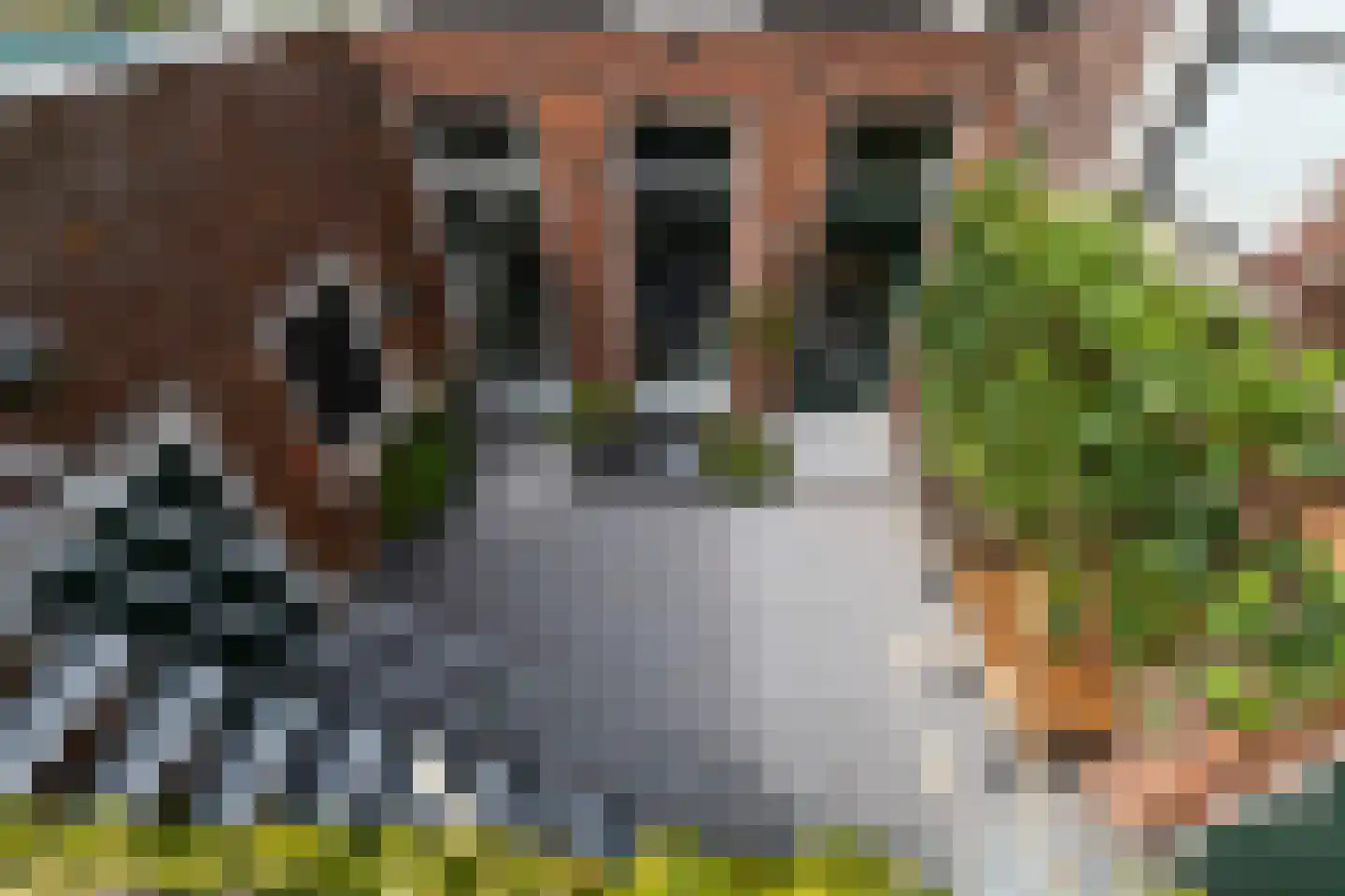 Stormeer 31 Woerden thumbnail 22