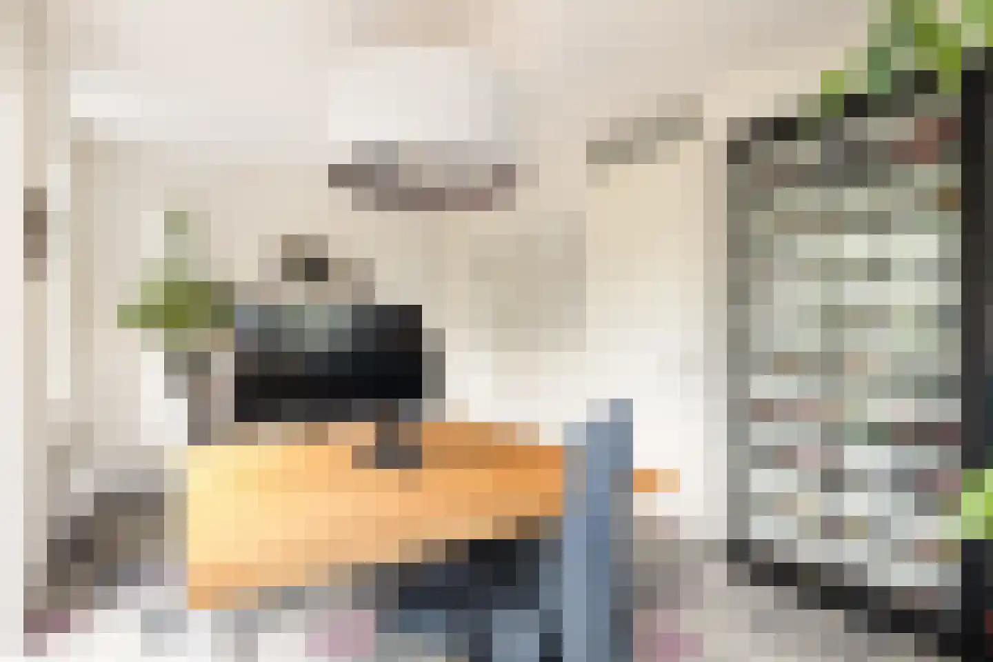 Stormeer 31 Woerden thumbnail 33