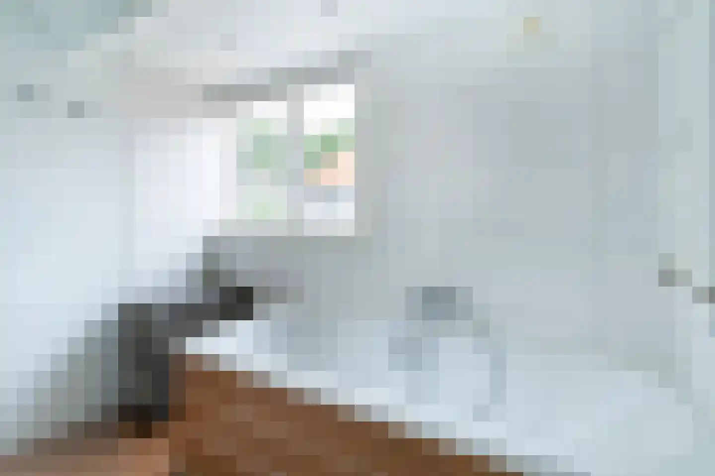 Stormerdijkstraat 51 Nieuwegein thumbnail 8