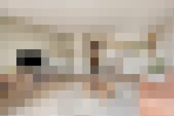 Stormerdijkstraat 8 Nieuwegein thumbnail 8