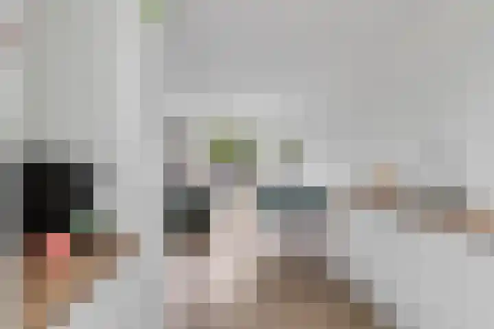 Stormmeeuw 4 Nieuwegein thumbnail 11