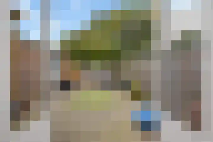 Stormmeeuw 4 Nieuwegein thumbnail 13