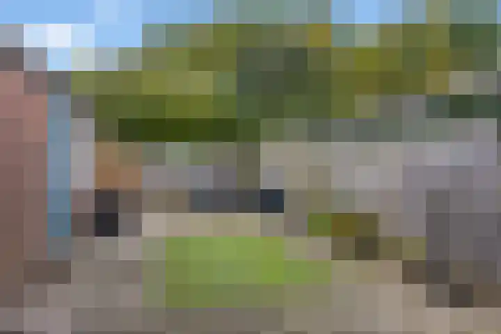 Stormmeeuw 4 Nieuwegein thumbnail 14