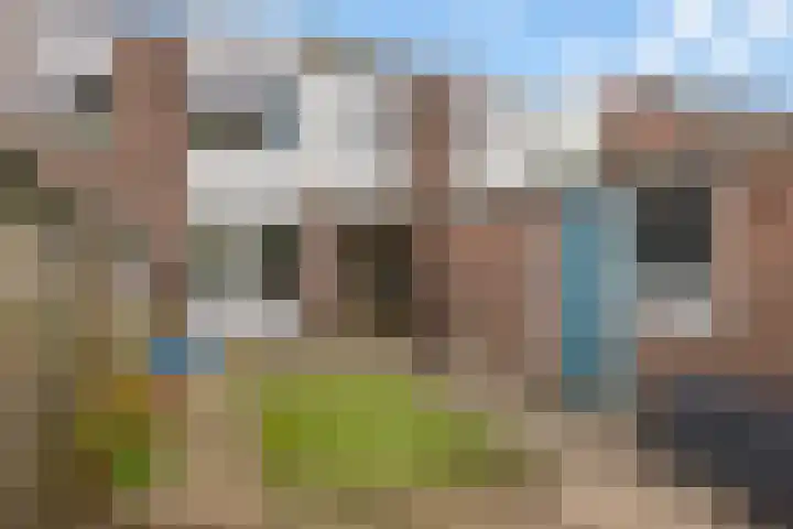 Stormmeeuw 4 Nieuwegein thumbnail 15