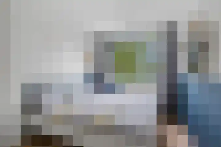 Stormmeeuw 4 Nieuwegein thumbnail 16
