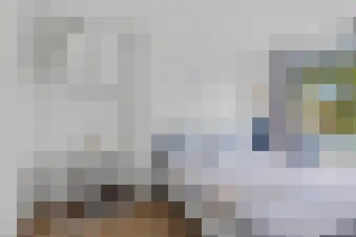 Stormmeeuw 4 Nieuwegein thumbnail 17