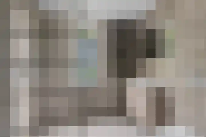 Stormmeeuw 4 Nieuwegein thumbnail 19