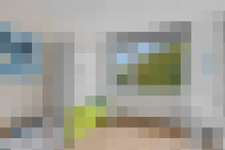 Stormmeeuw 4 Nieuwegein thumbnail 23