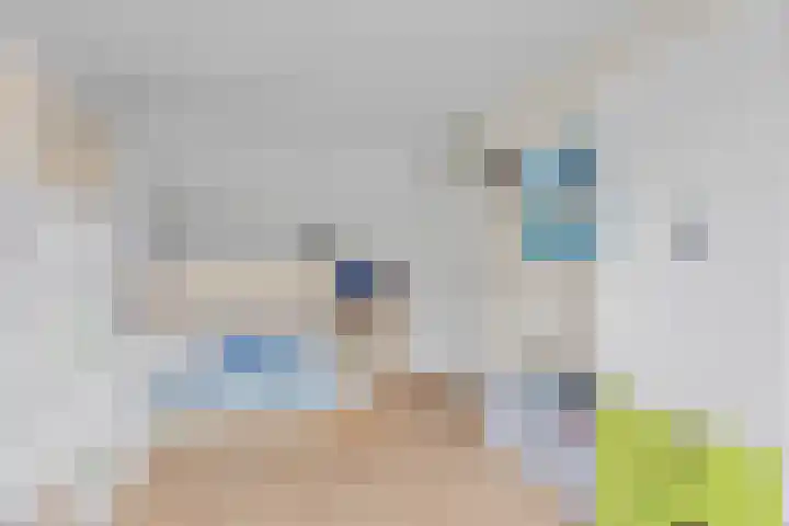 Stormmeeuw 4 Nieuwegein thumbnail 24