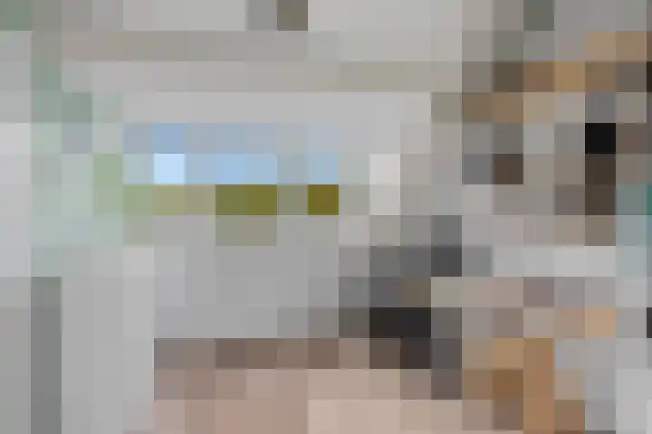 Stormmeeuw 4 Nieuwegein thumbnail 26