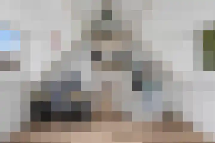 Stormmeeuw 4 Nieuwegein thumbnail 27