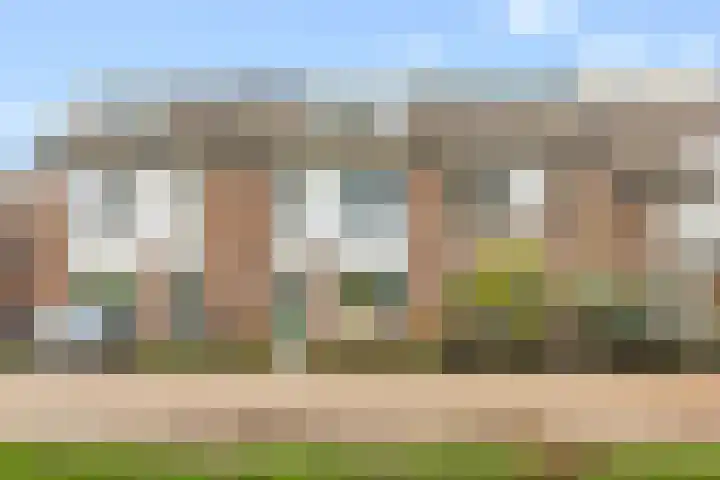 Stormmeeuw 4 Nieuwegein thumbnail 31