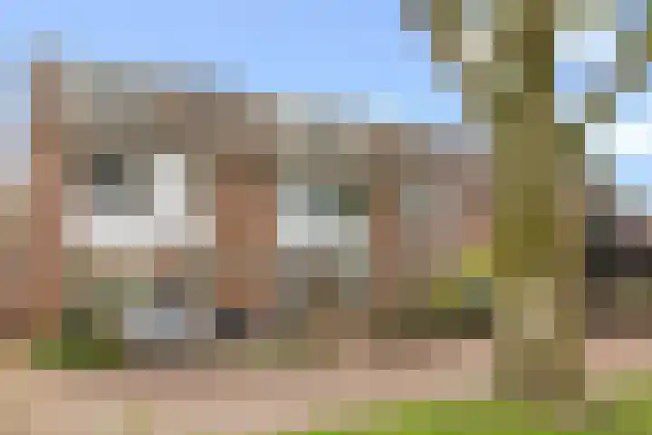 Stormmeeuw 4 Nieuwegein thumbnail 32