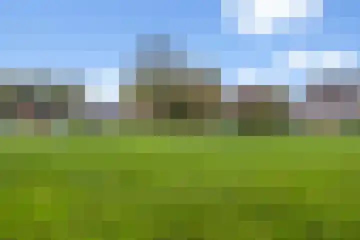 Stormmeeuw 4 Nieuwegein thumbnail 33