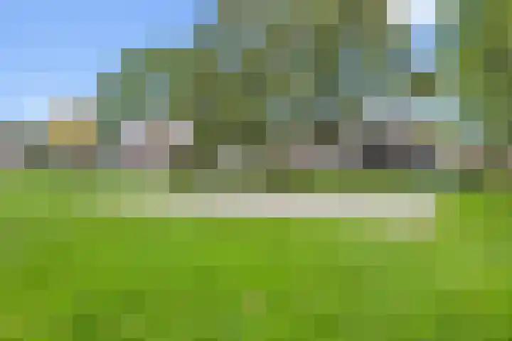 Stormmeeuw 4 Nieuwegein thumbnail 34