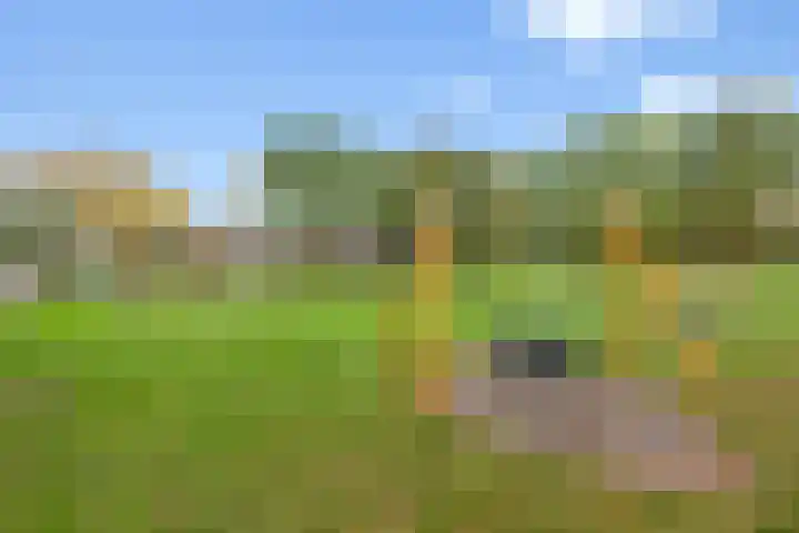 Stormmeeuw 4 Nieuwegein thumbnail 35