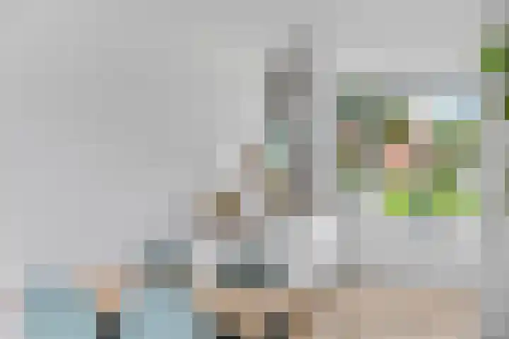 Stormmeeuw 4 Nieuwegein thumbnail 6