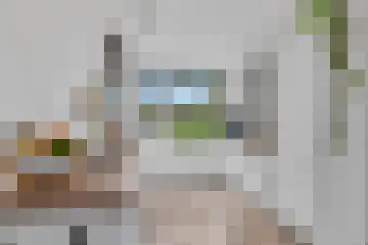 Stormmeeuw 4 Nieuwegein thumbnail 7