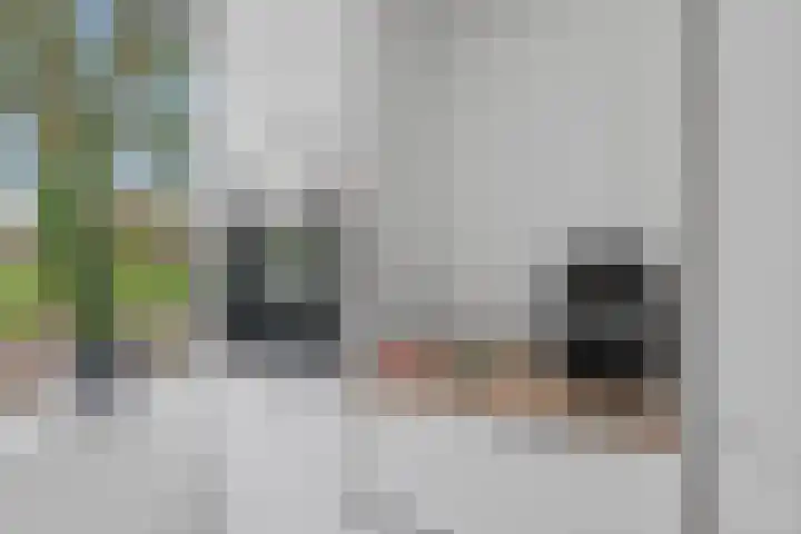 Stormmeeuw 4 Nieuwegein thumbnail 8