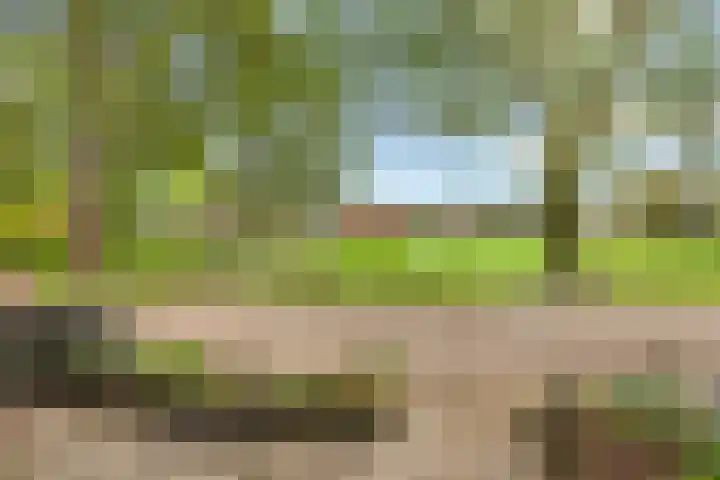 Stormmeeuw 4 Nieuwegein thumbnail 9