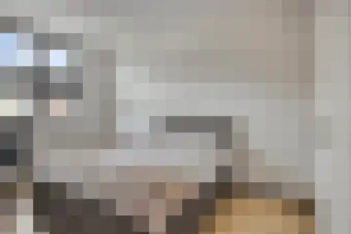 Stormramruwe 10 Maastricht thumbnail 21