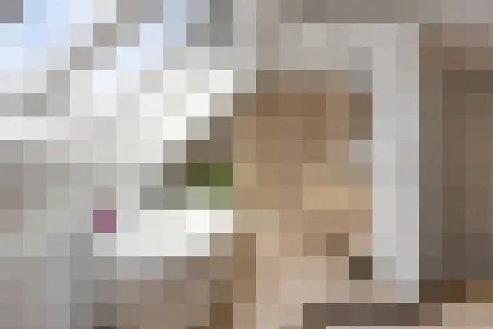 Stormramruwe 10 Maastricht thumbnail 29