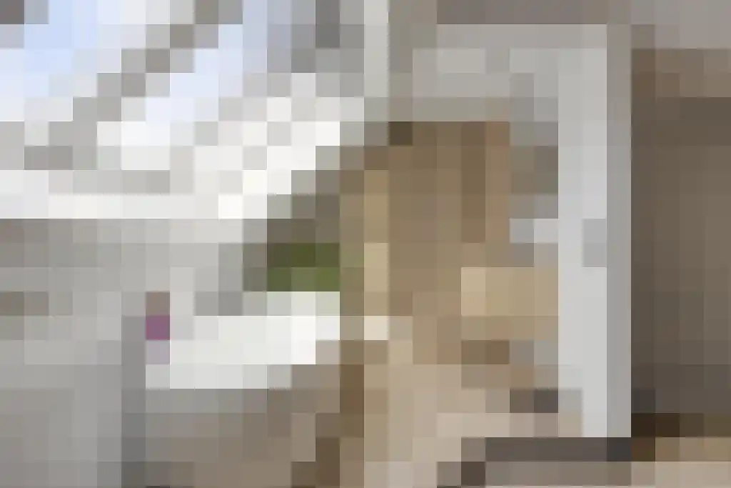 Stormramruwe 10 Maastricht thumbnail 30
