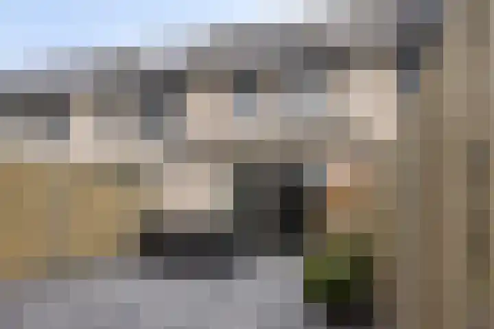 Stormramruwe 10 Maastricht thumbnail 31