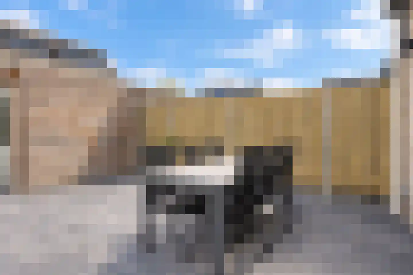 Stormramruwe 10 Maastricht thumbnail 32