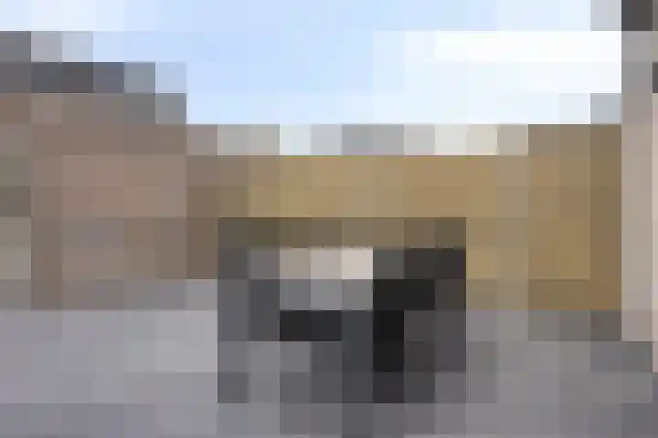 Stormramruwe 10 Maastricht thumbnail 32