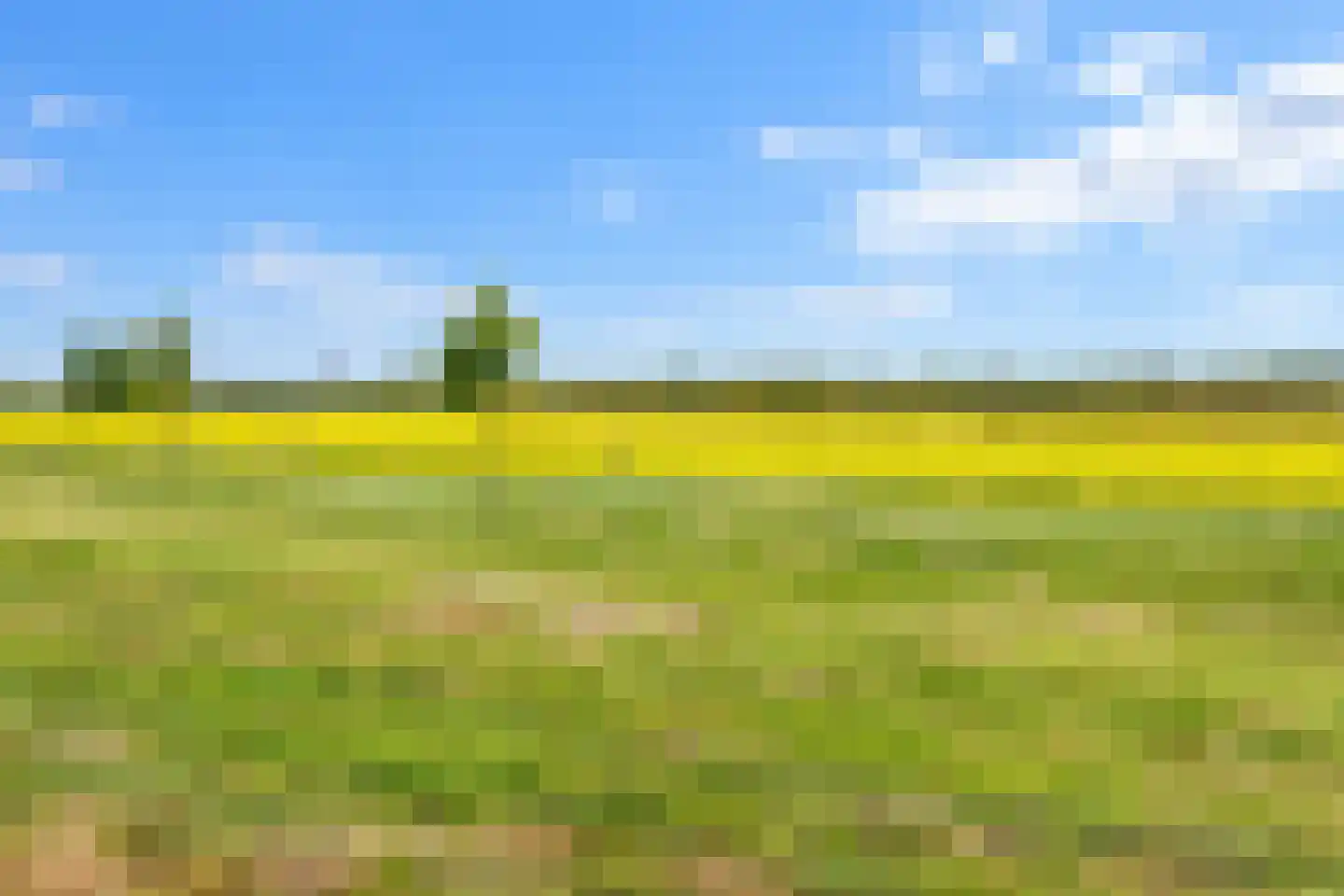 Stormramruwe 10 Maastricht thumbnail 37