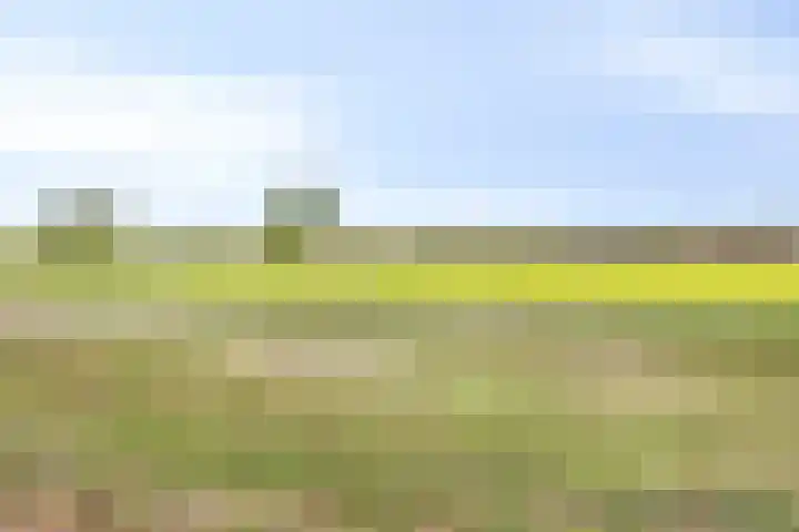 Stormramruwe 10 Maastricht thumbnail 37