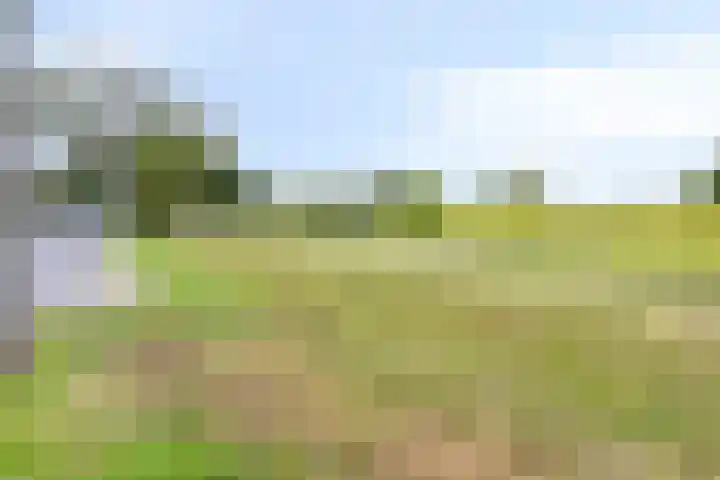 Stormramruwe 10 Maastricht thumbnail 38