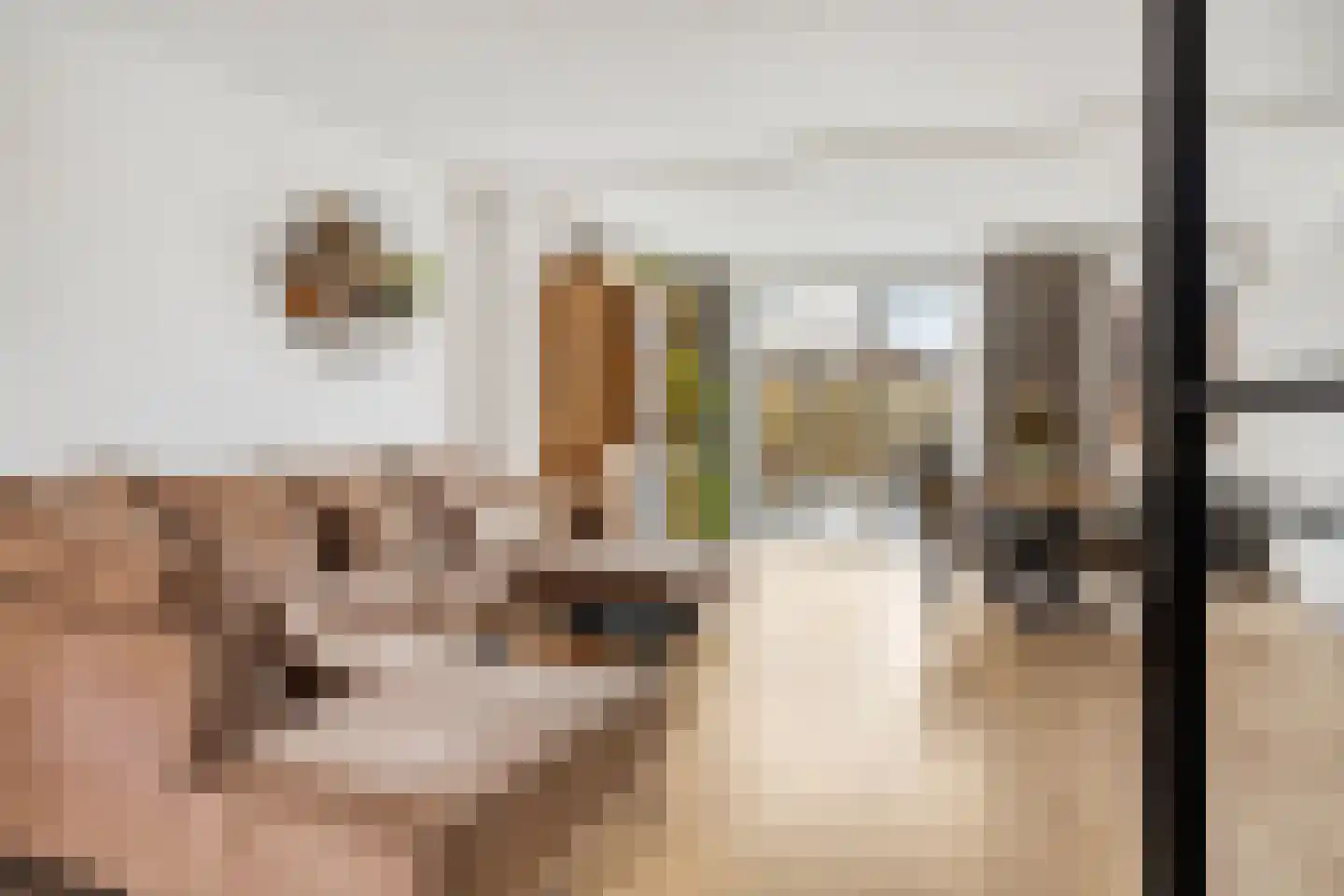 Stormramruwe 10 Maastricht thumbnail 6