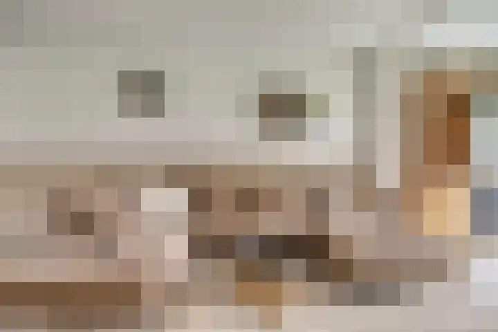 Stormramruwe 10 Maastricht thumbnail 7
