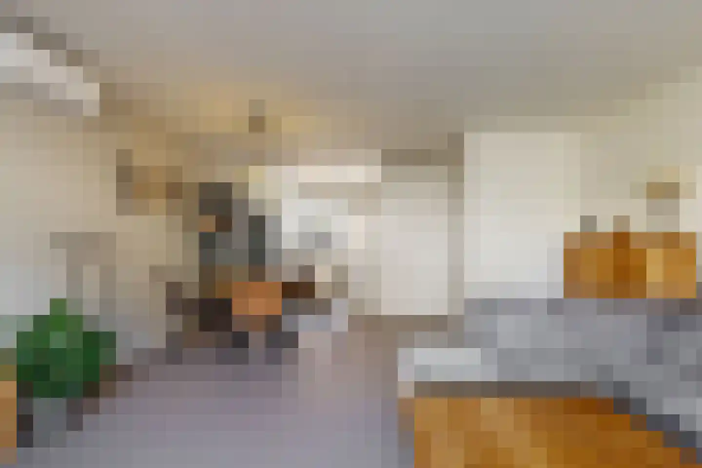Stormramruwe 14 Maastricht thumbnail 13
