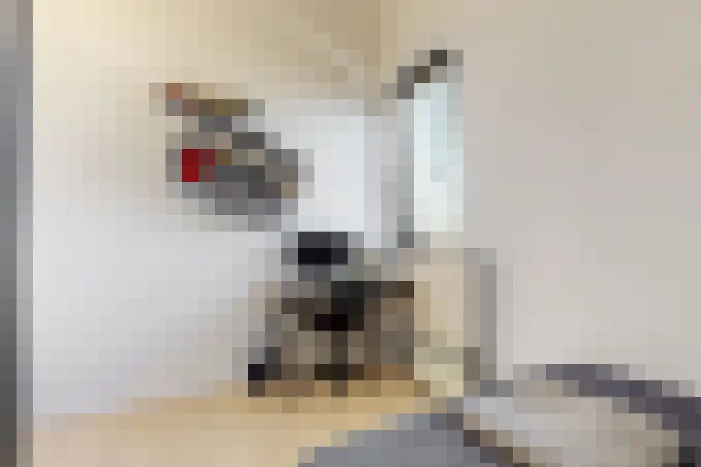 Stormramruwe 14 Maastricht thumbnail 31