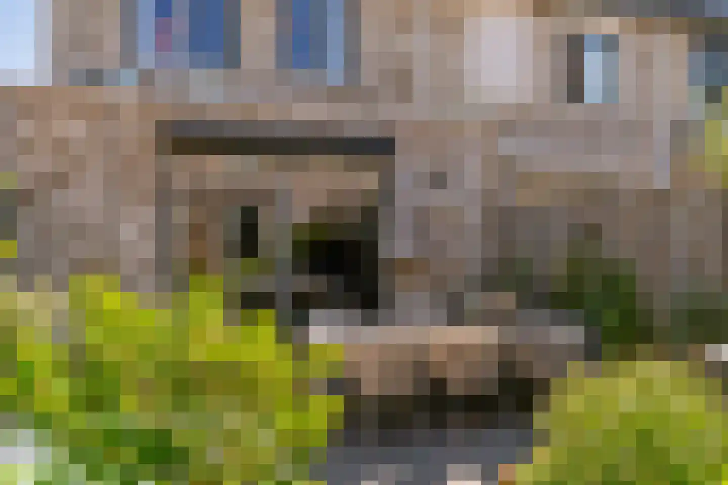 Stormramruwe 14 Maastricht thumbnail 38