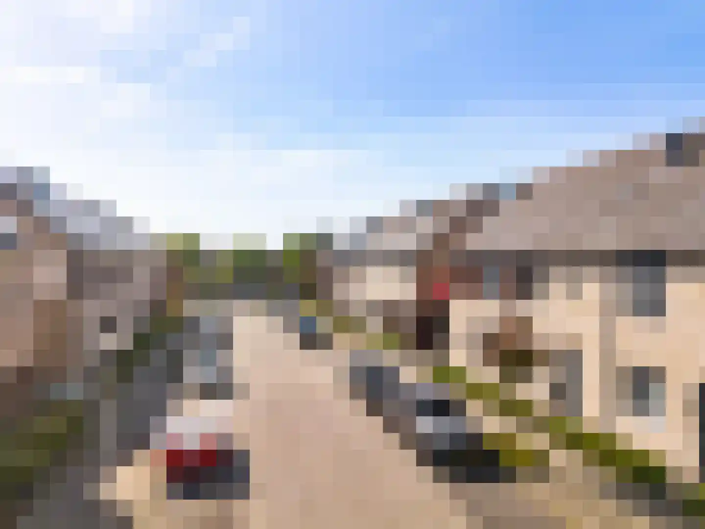 Stormramruwe 14 Maastricht thumbnail 4