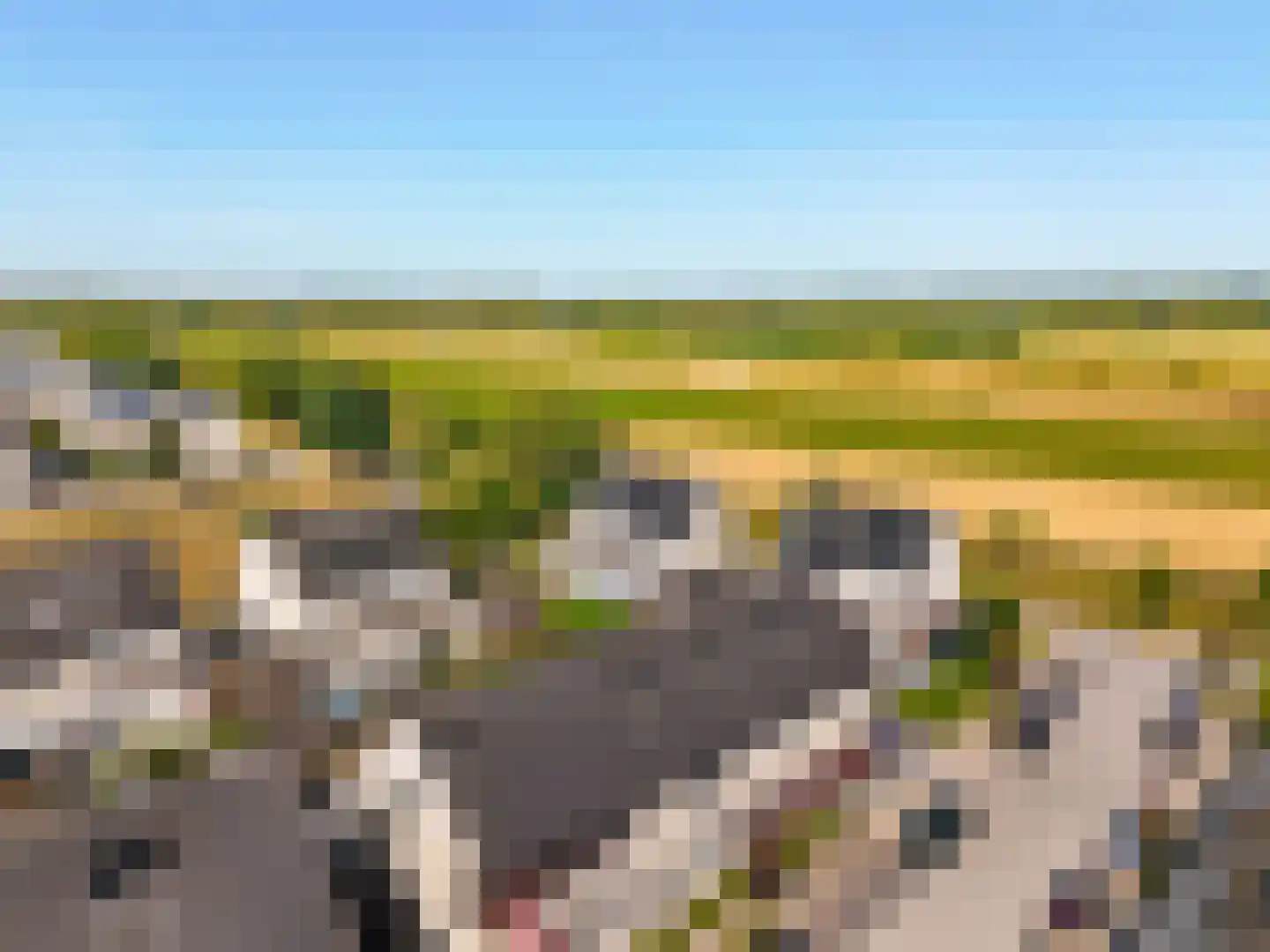 Stormramruwe 14 Maastricht thumbnail 7