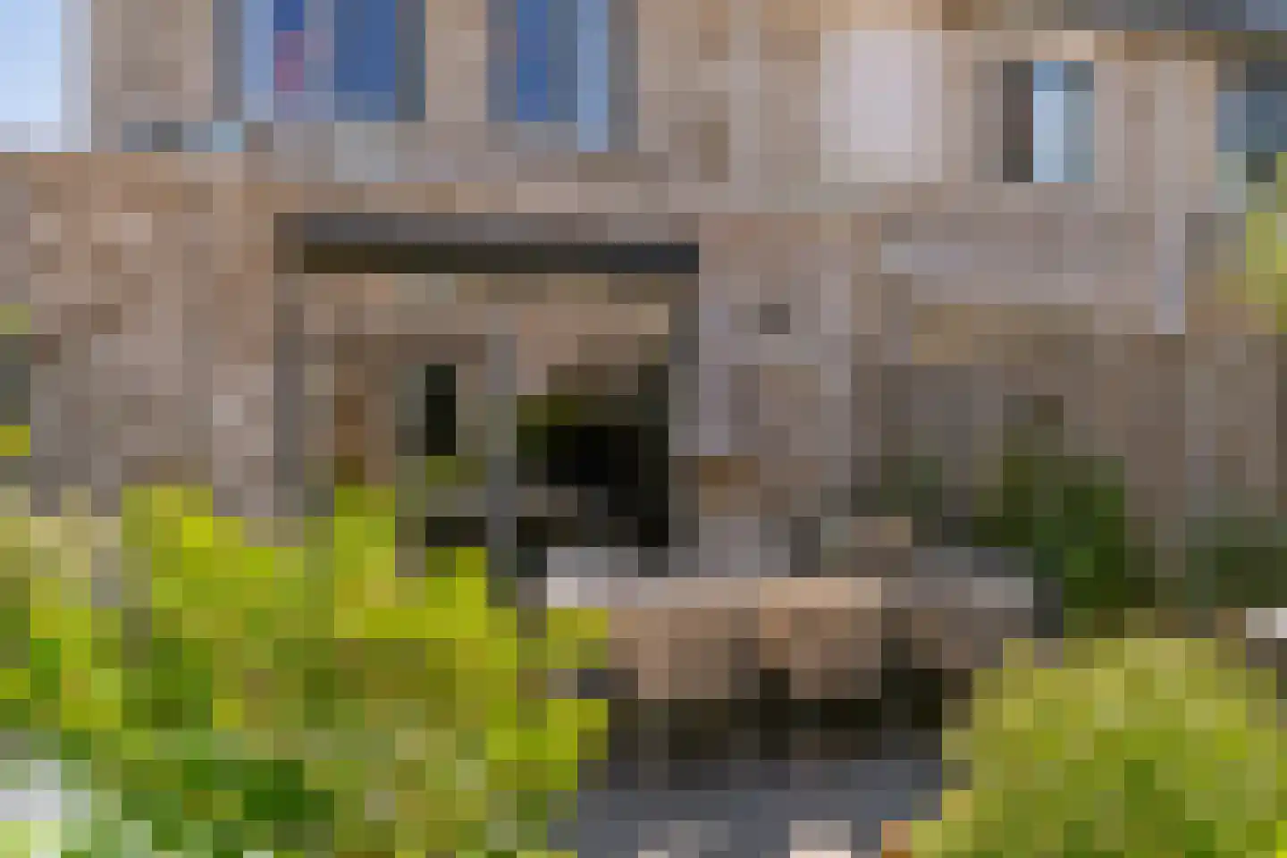 Stormramruwe 14 Maastricht thumbnail 8