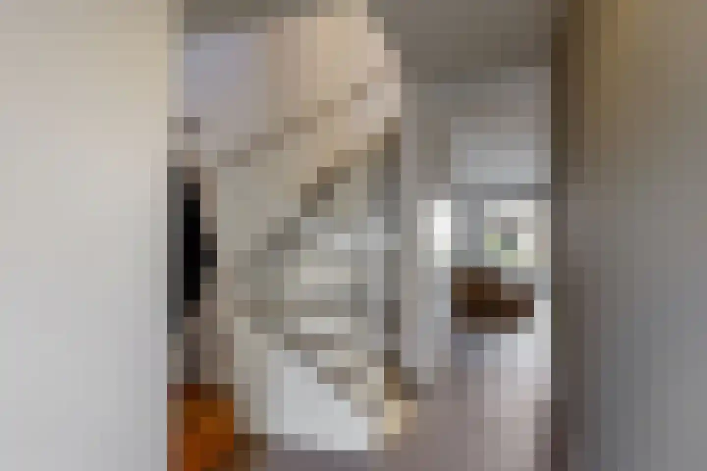 Stormramruwe 14 Maastricht thumbnail 9