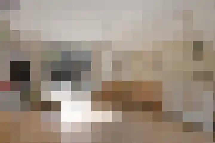 Stormramruwe 18 Maastricht thumbnail 11