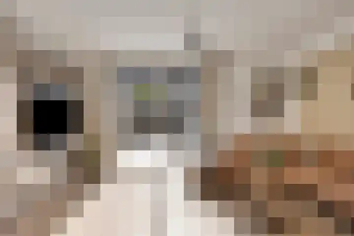 Stormramruwe 18 Maastricht thumbnail 13