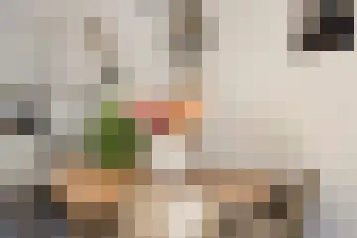 Stormramruwe 18 Maastricht thumbnail 14