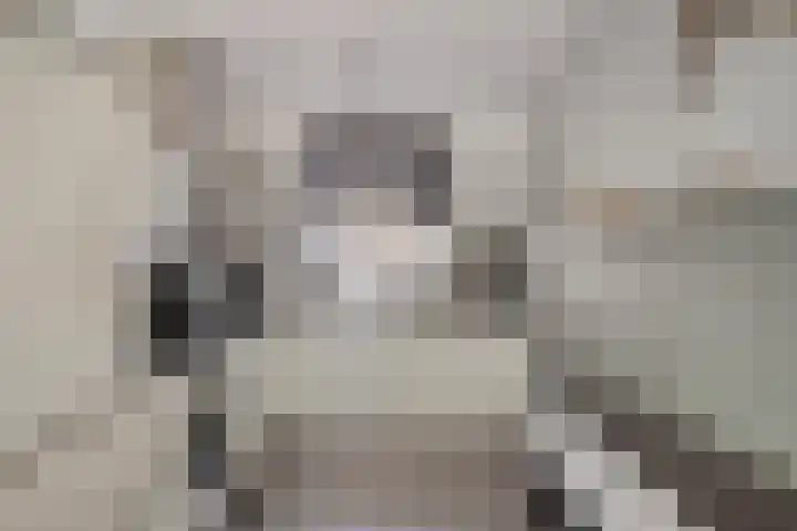 Stormramruwe 18 Maastricht thumbnail 17