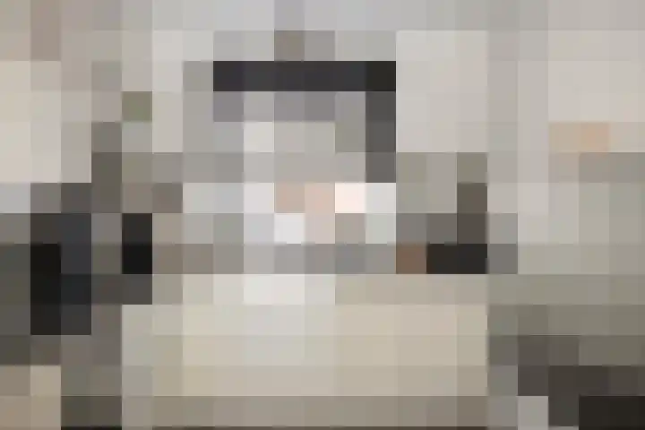Stormramruwe 18 Maastricht thumbnail 18