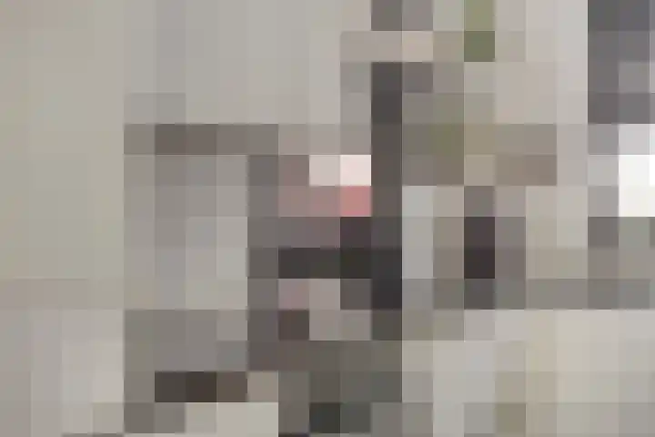 Stormramruwe 18 Maastricht thumbnail 19